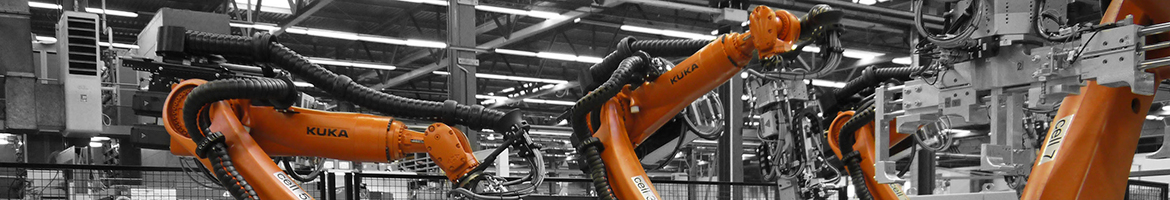 Trójwymiarowe e-prowadniki do zastosowań związanych z robotami