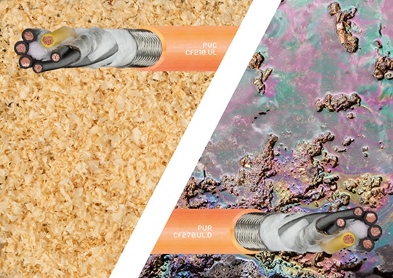 Seminarium online CF