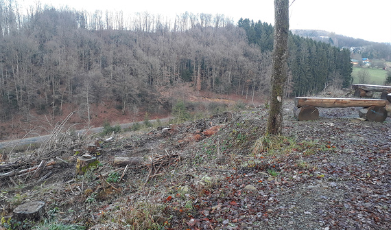 Przyszły obszar ponownego zalesiania w gminie Lindlar