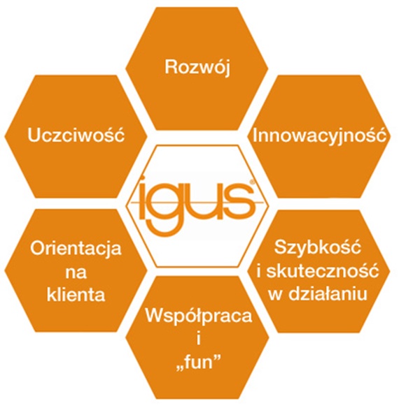 igus rekrutacja wartości firmowe